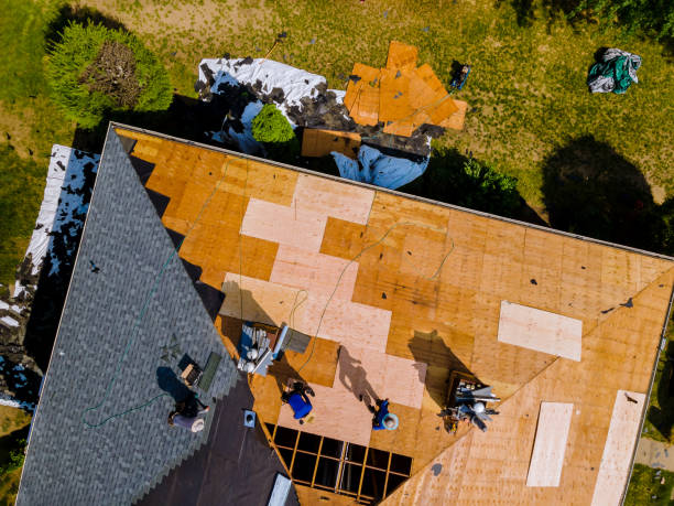 Quick and Trustworthy Emergency Roof Repair Services in Weslaco, TX
