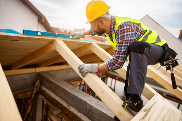Best Roof Gutter Cleaning  in Weslaco, TX