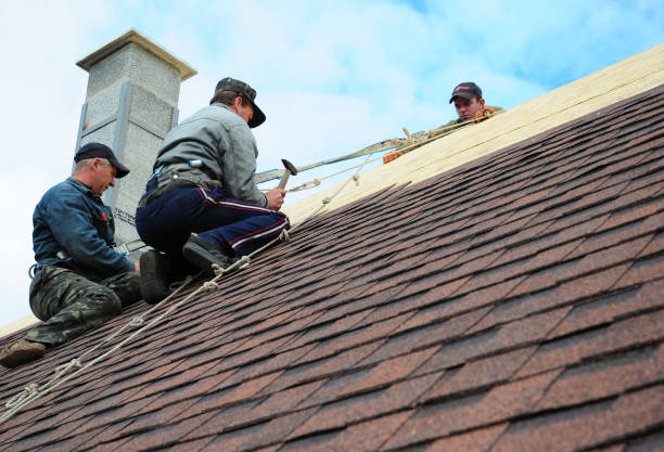 Best Roof Gutter Cleaning  in Weslaco, TX